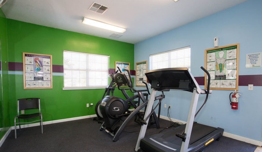 Фото Tropical Palms