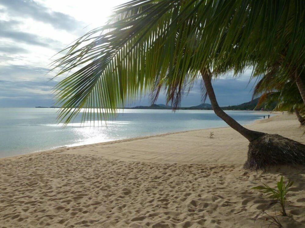 Фото Palm Point Village