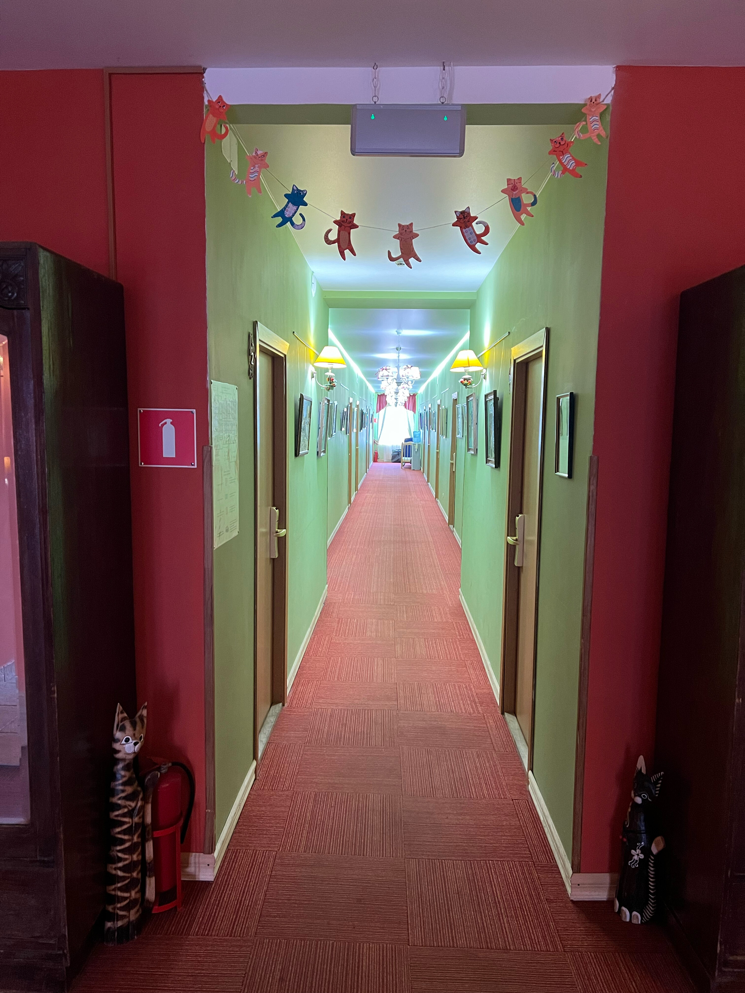 Фото Кошкин Дом