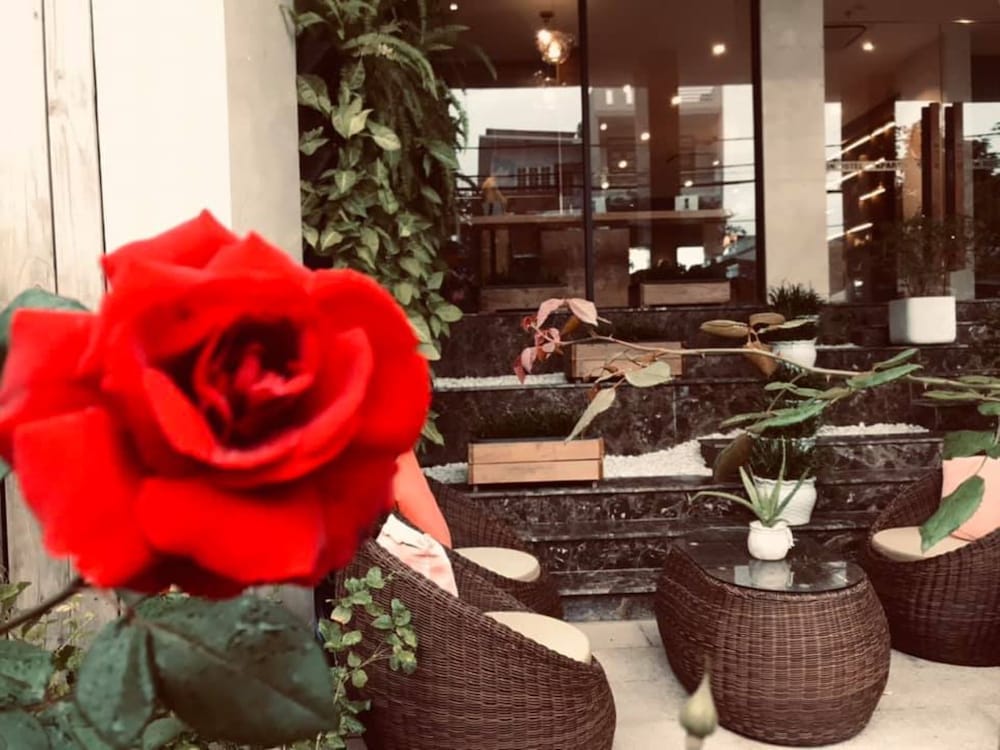 Фото DaNang Moon Villa & Apartment