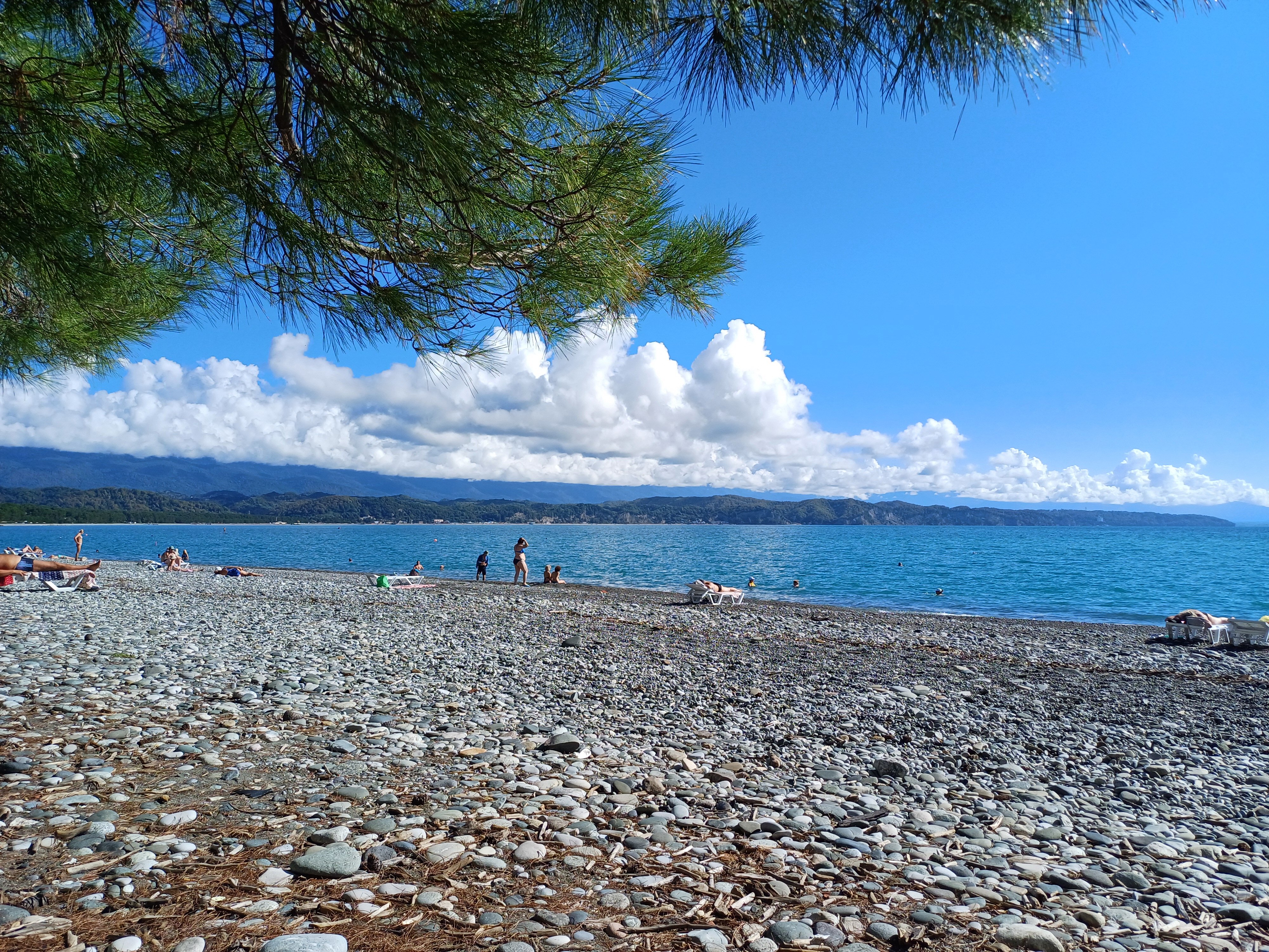 Фото Сосновый рай