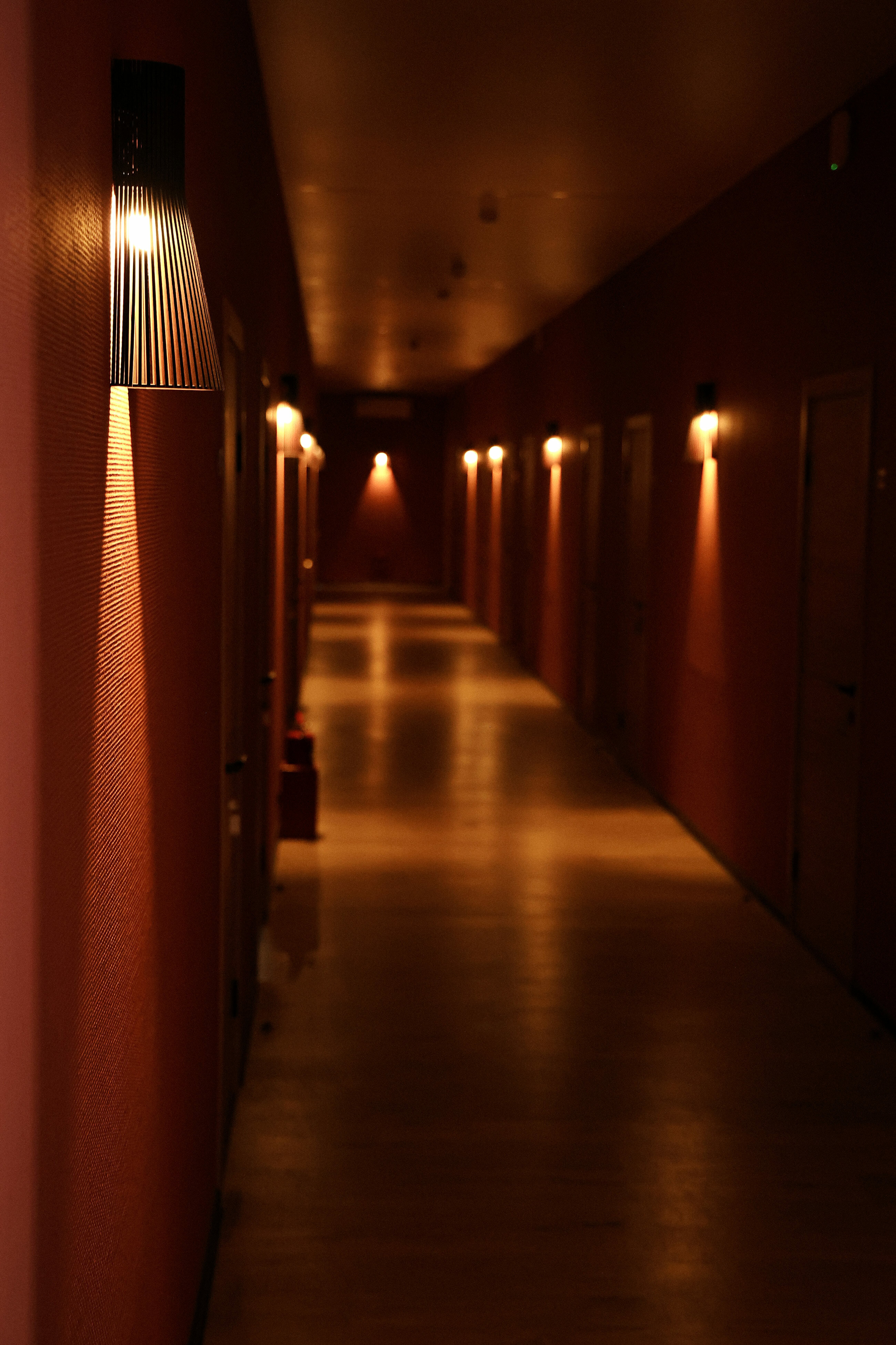 Фото Голден Норрис