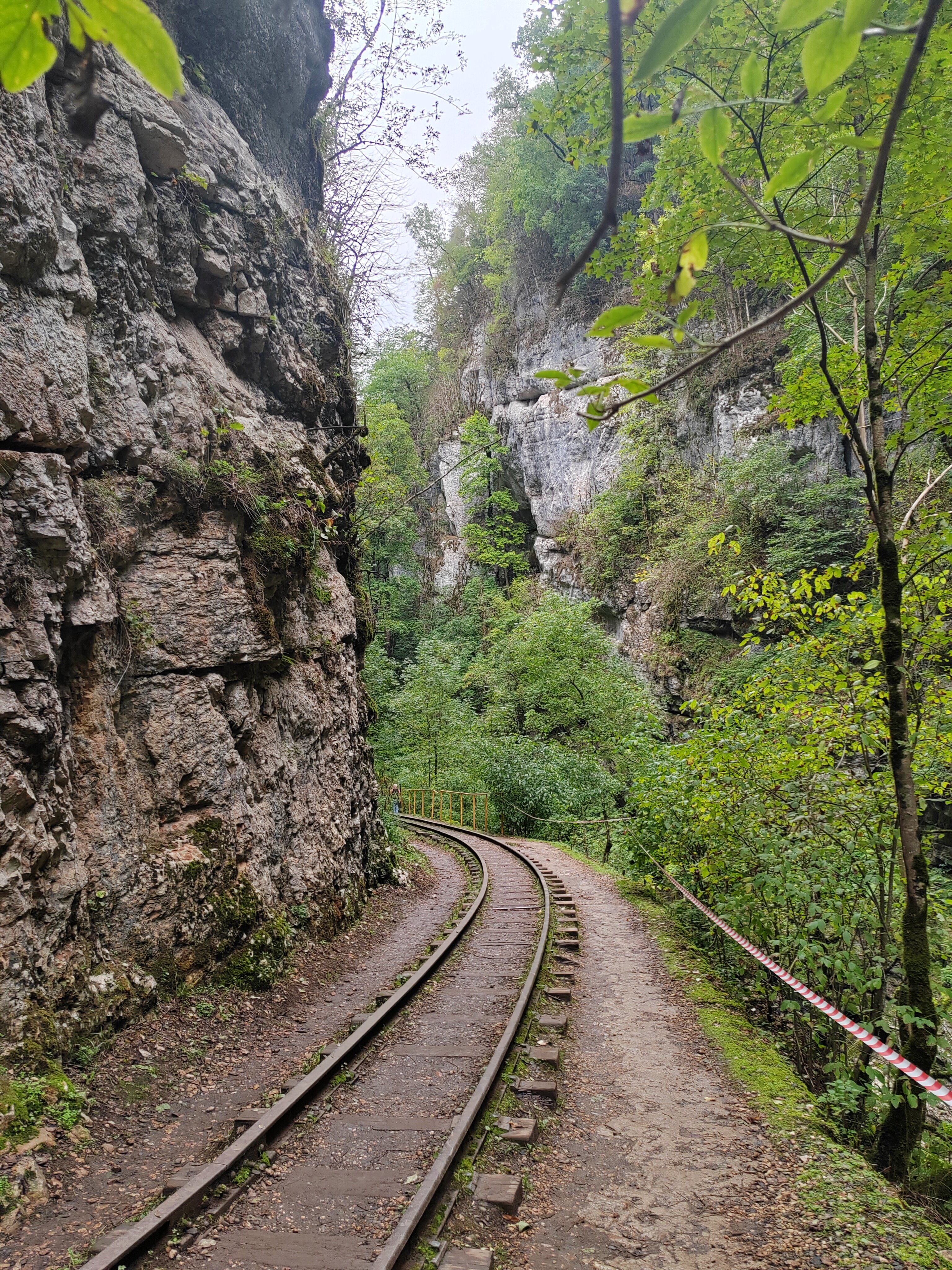 Фото Вероника