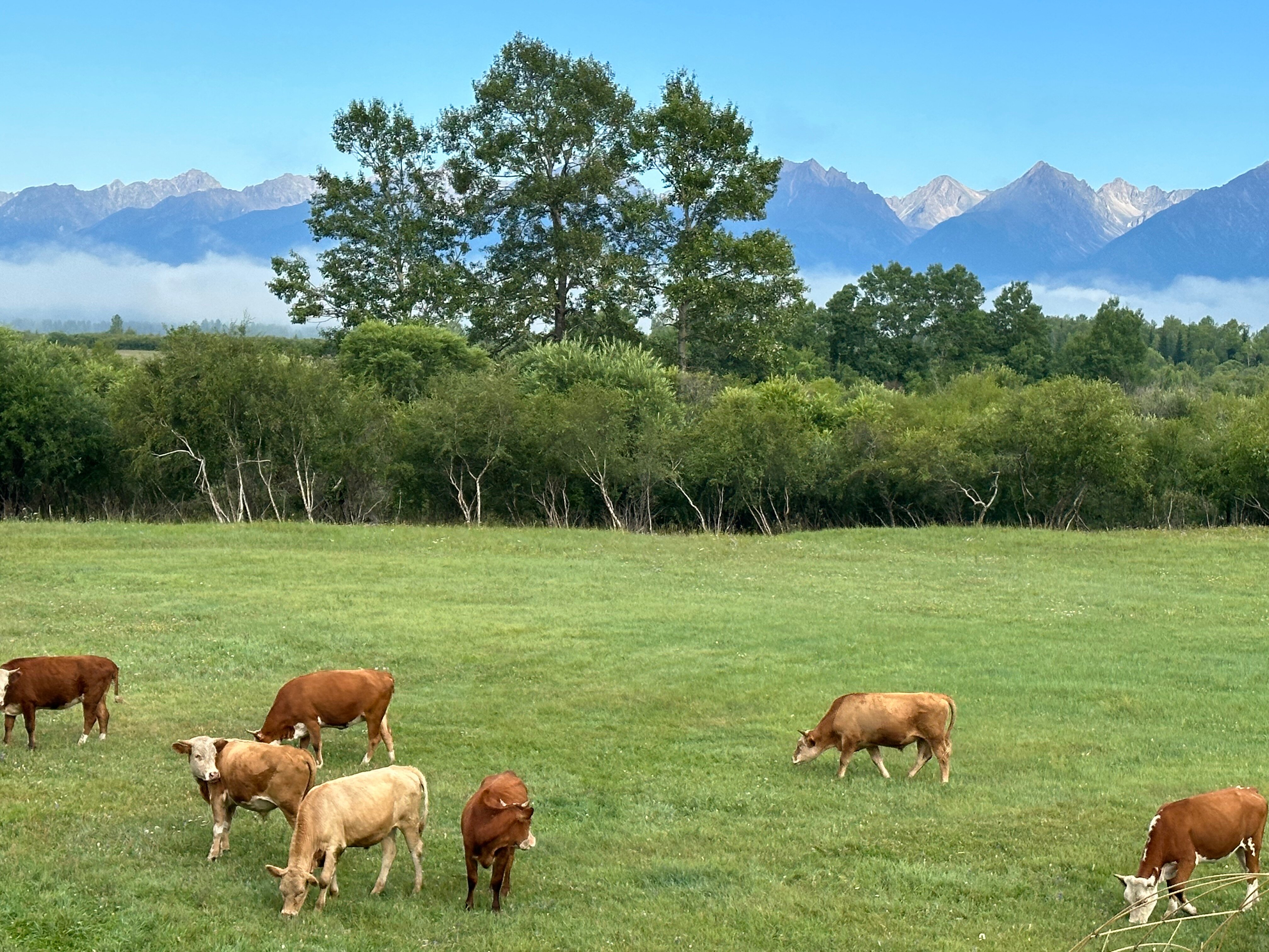 Фото Гостиничный комплекс Красная поляна