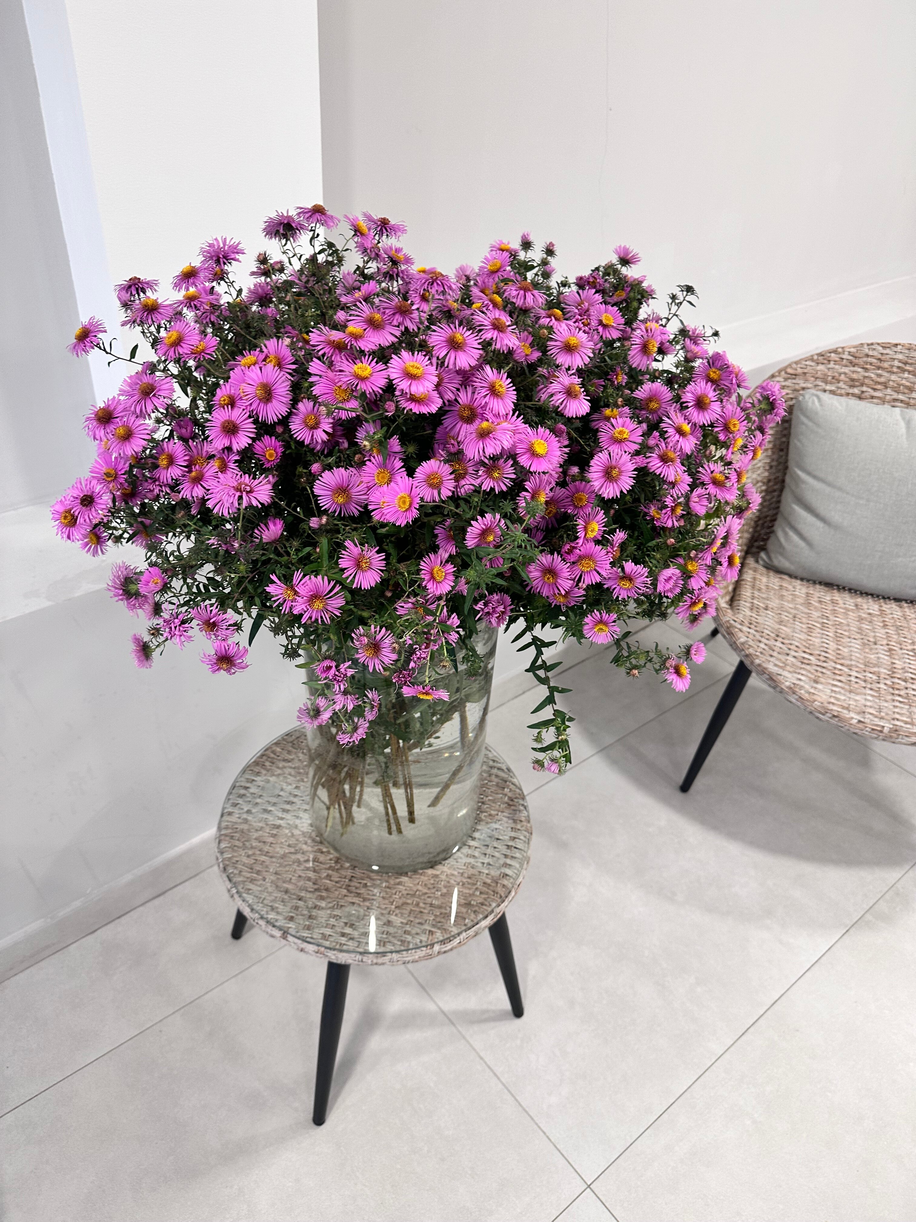 Фото Айтар Море