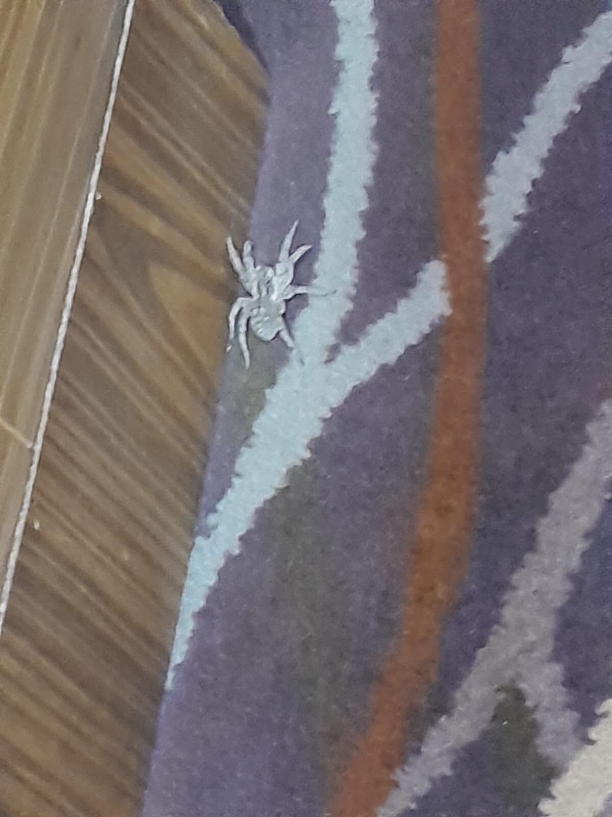 Фото Dostyk Hotel