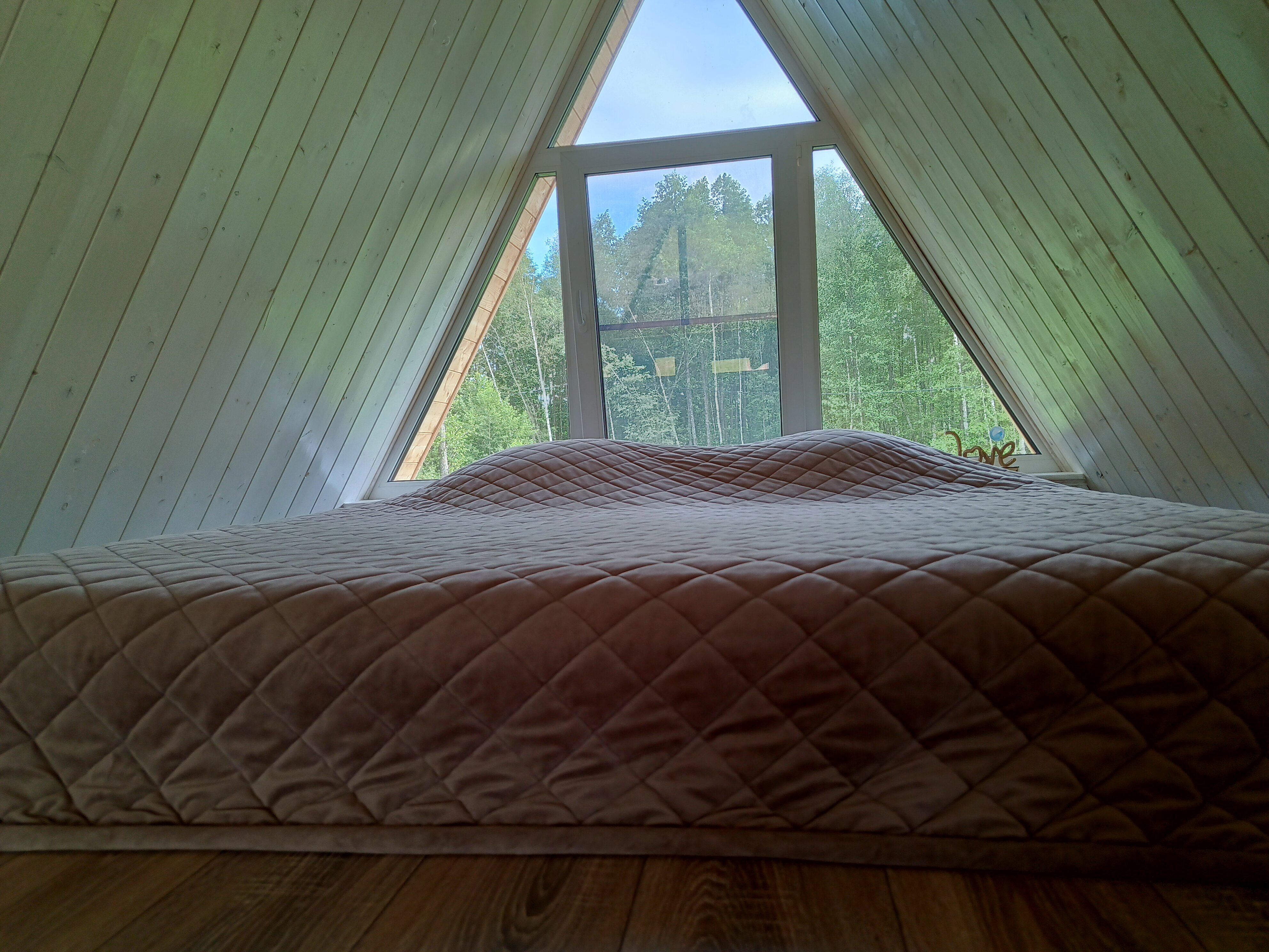 Фото Forest life