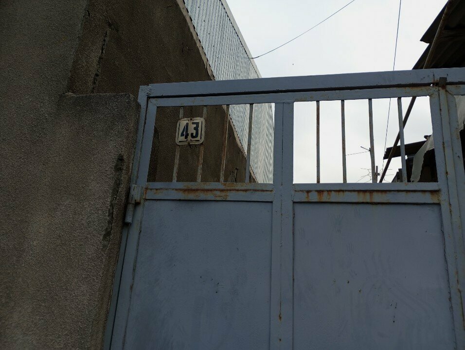 Auto parts and auto goods store NoCatNoProblem, Yerevan, photo