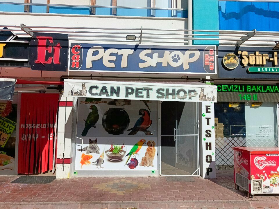 Pet shop Can Petshop, Konya, photo