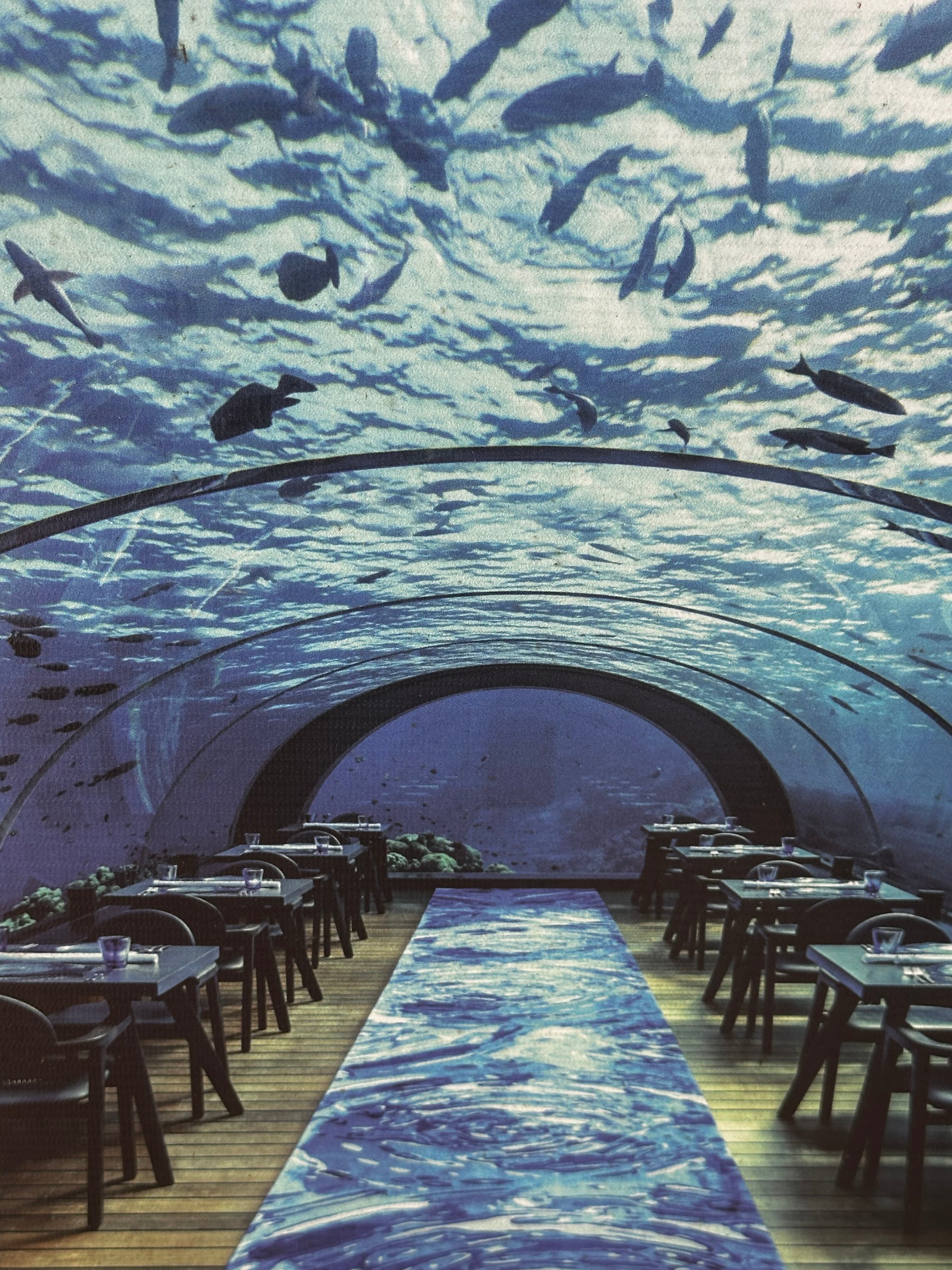 Фото Kuredu Resort and SPA