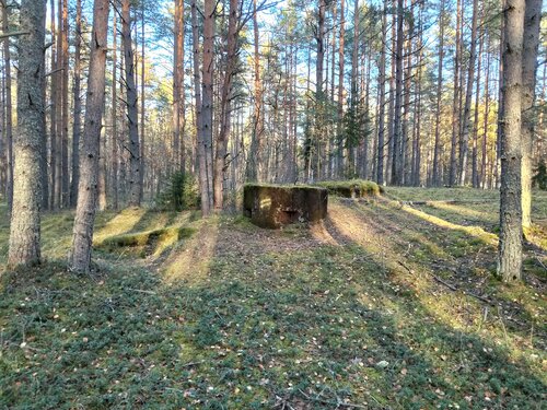 Landmark, attraction Long-term Firing Point, Saint‑Petersburg and Leningrad Oblast, photo