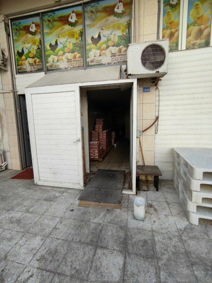 Egg and poultry meat Elmali Yumurta, Antalya, photo