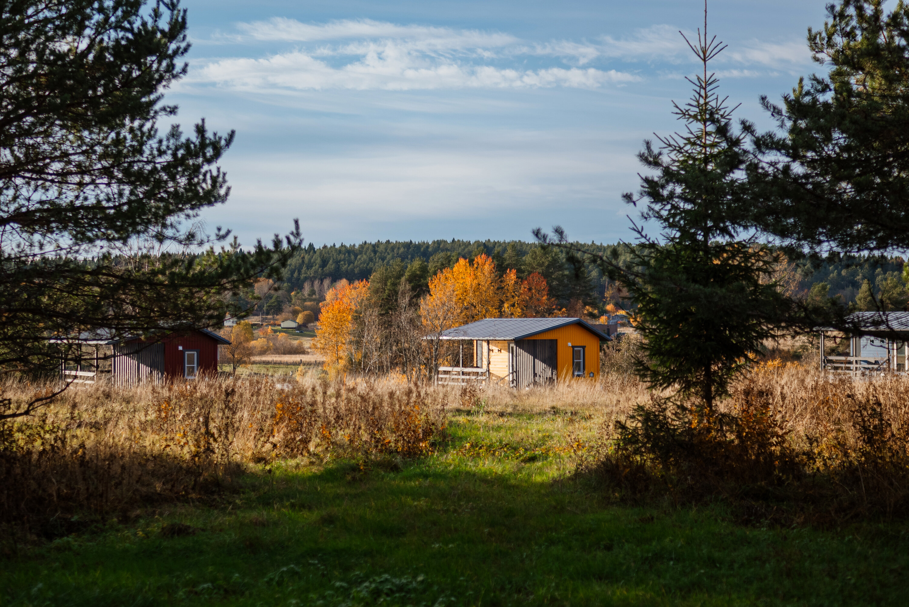 Фото Ягодная деревня