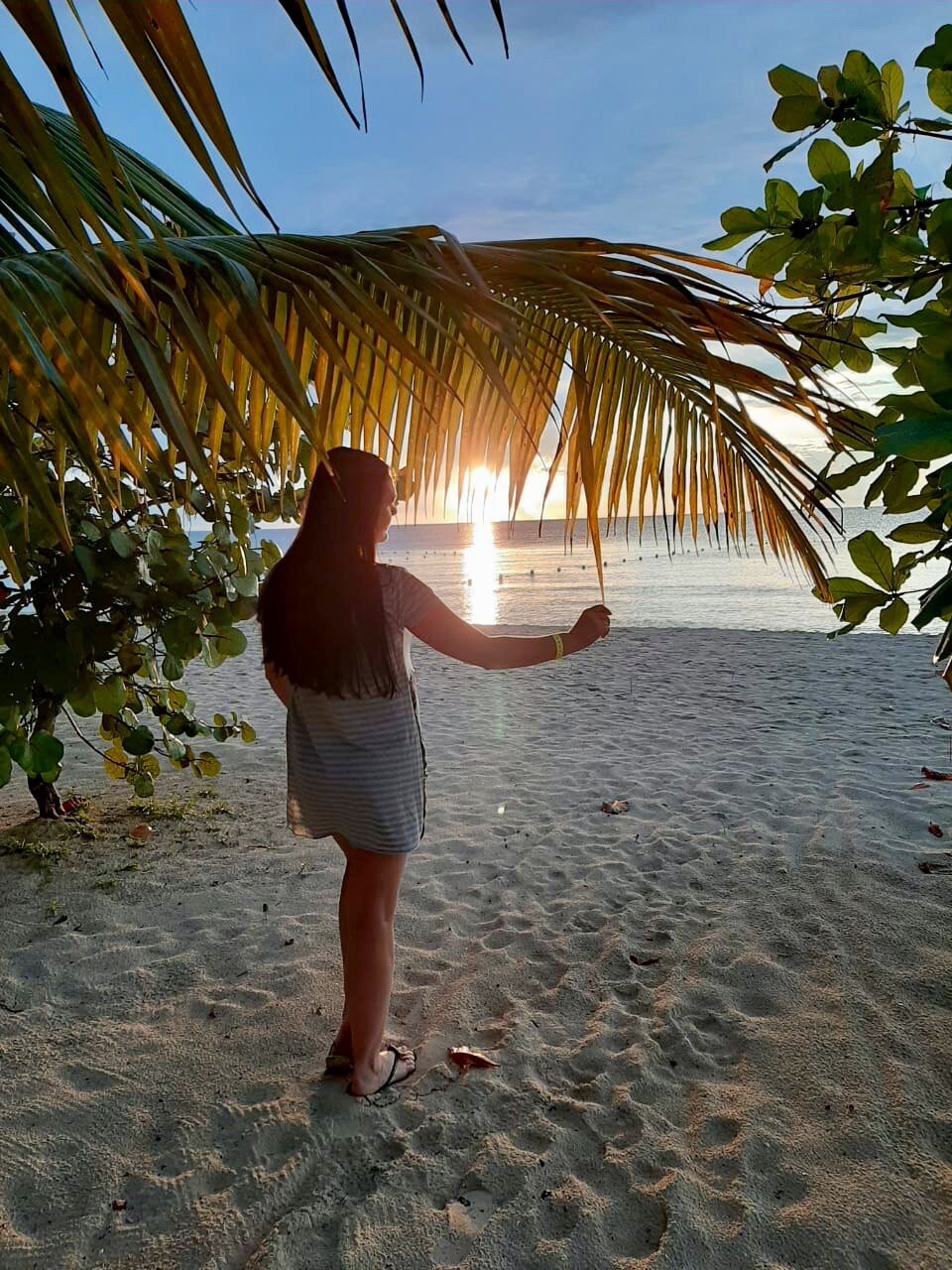 Фото Hotel Riu Montego Bay