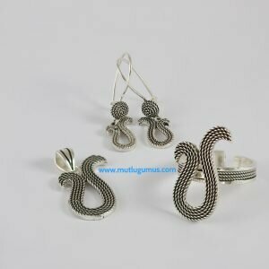 Mutlu Gümüş Fotoğraf 5