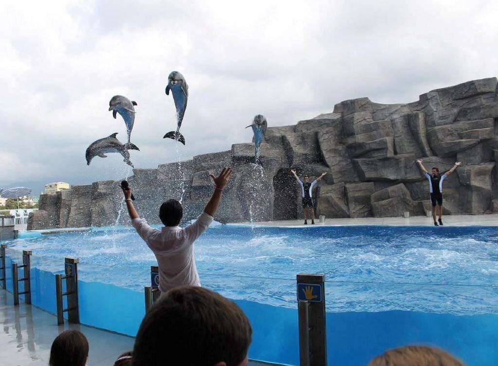 Фото Orbi Luxury Apartments