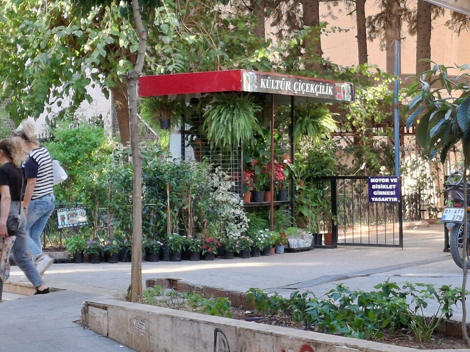 Flower shop Kültür çiçek, Adana, photo