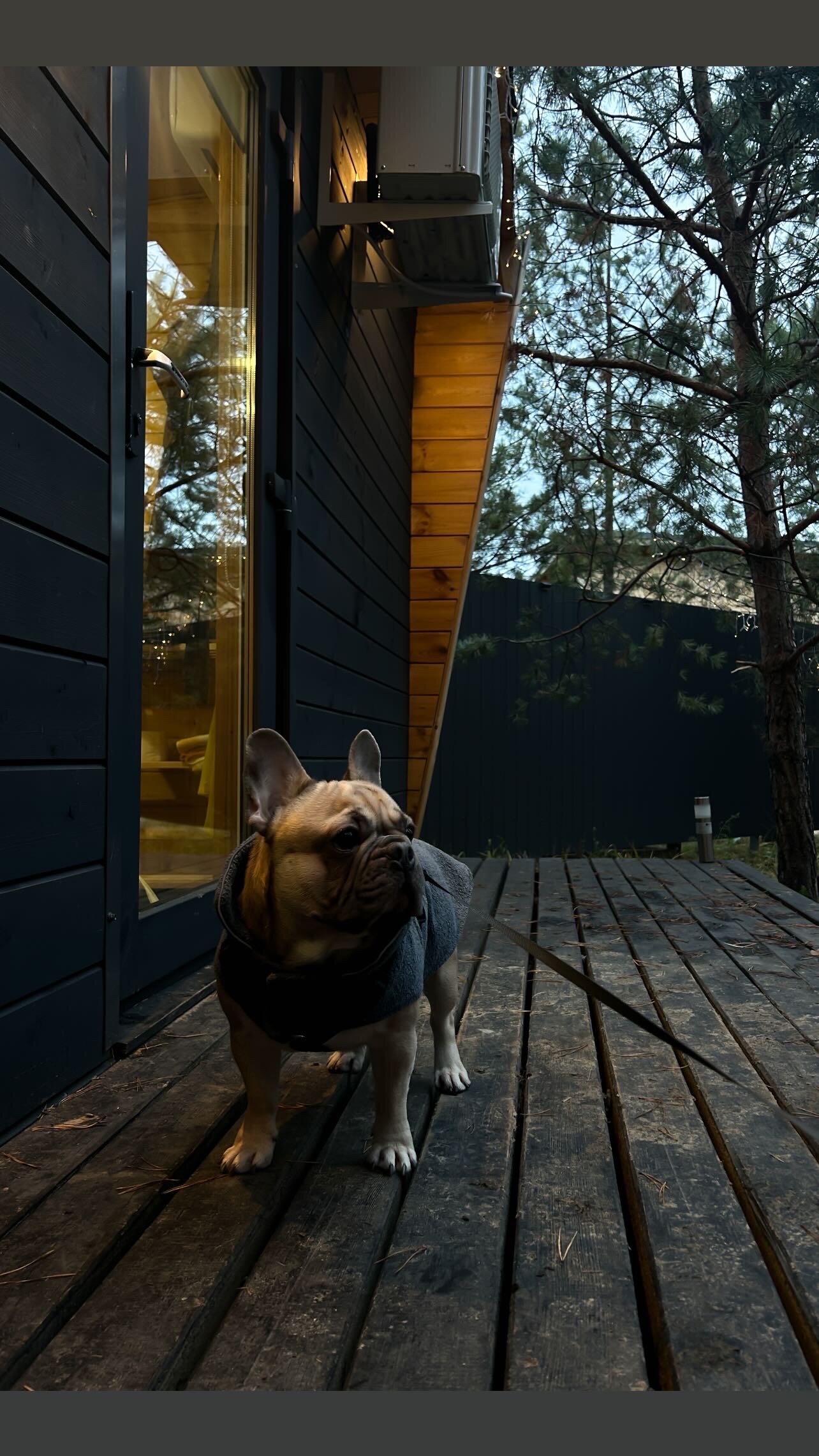 Фото Место счастья