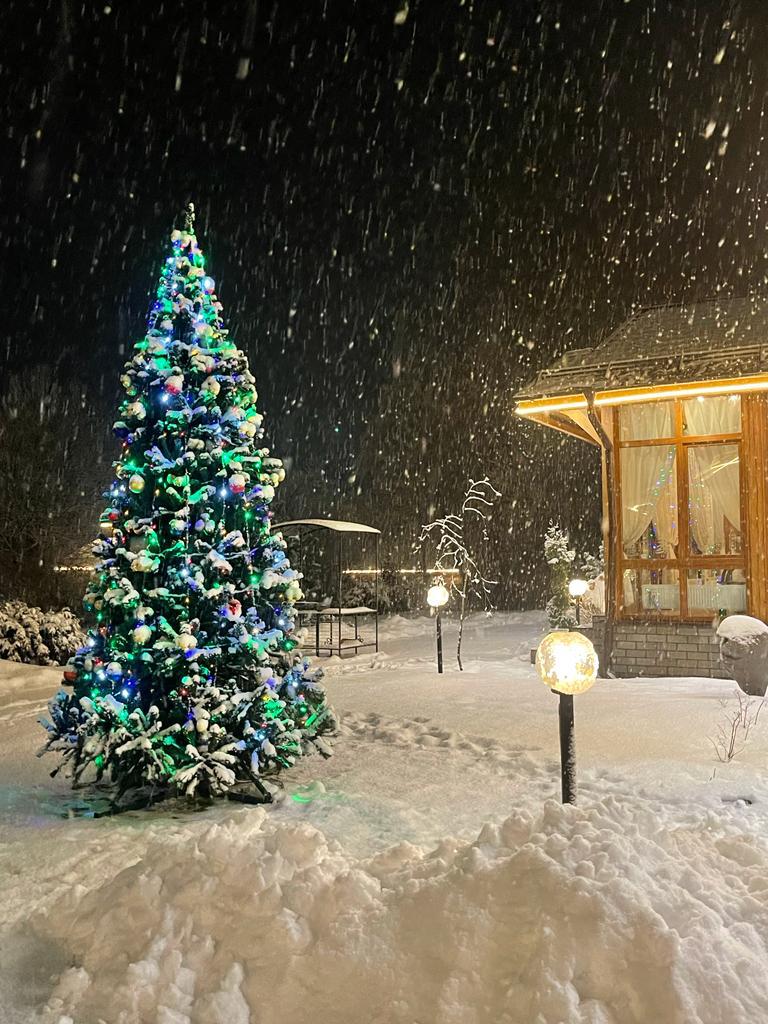 Фото Золотые Караси