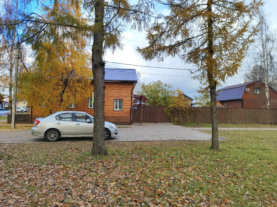 Фото Берёзка