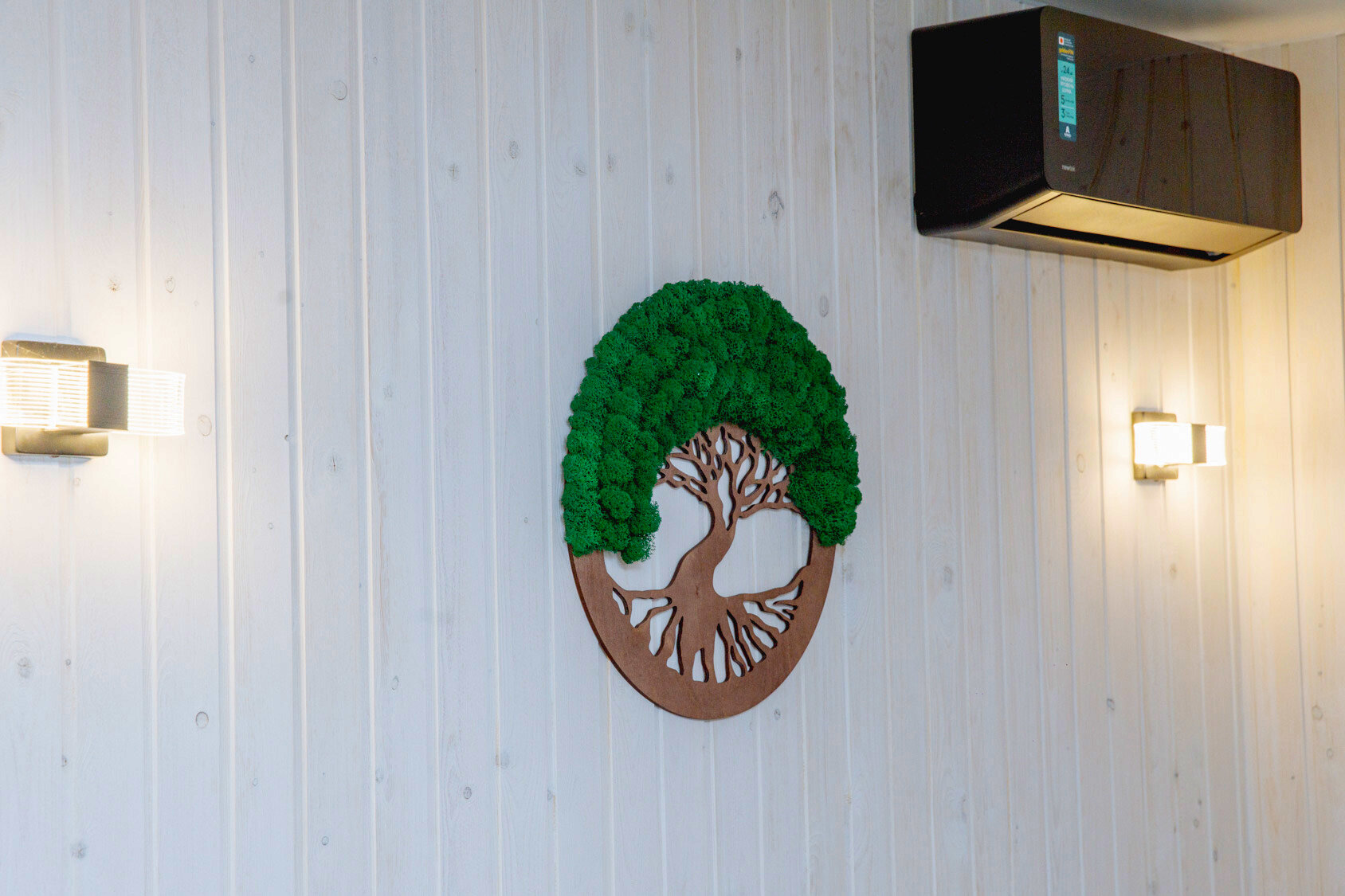 Фото Берёзка