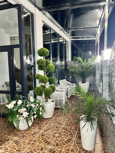Апартаменты