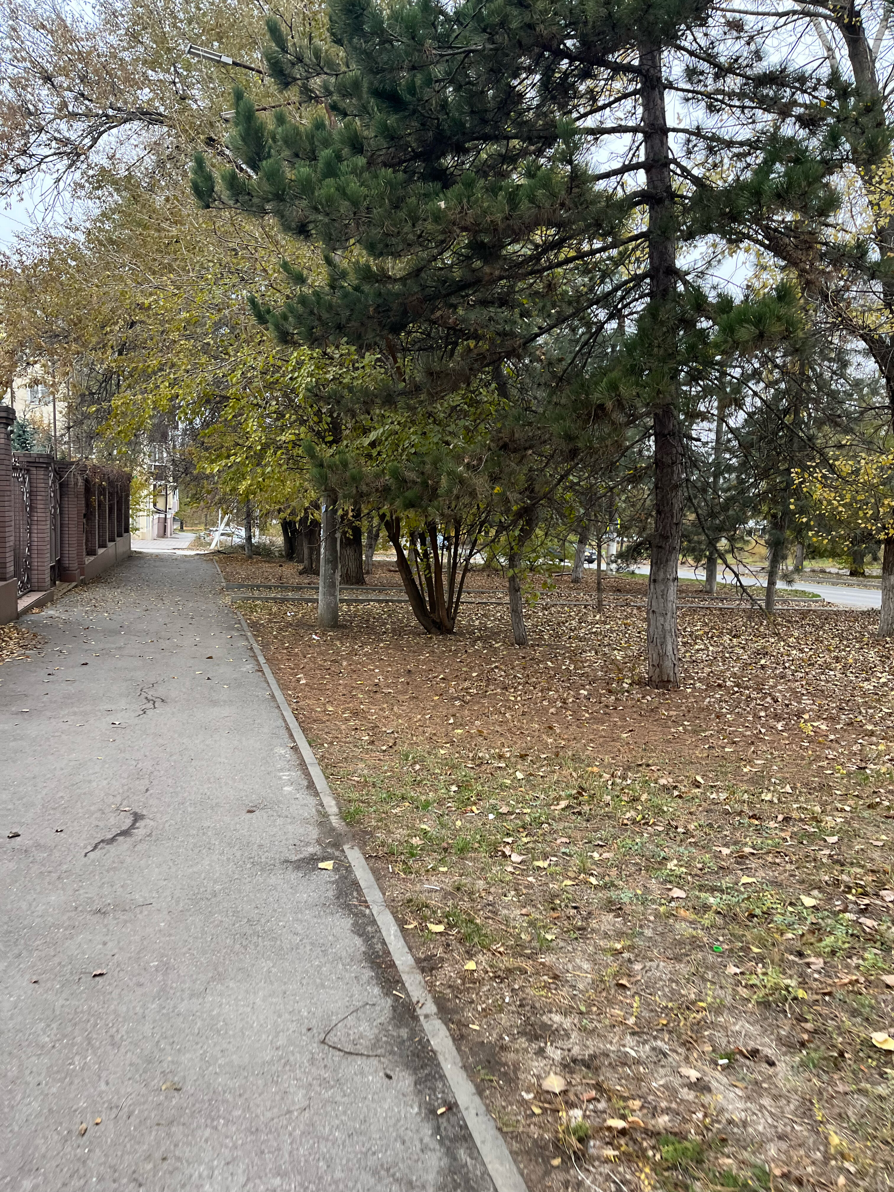 Фото Династия