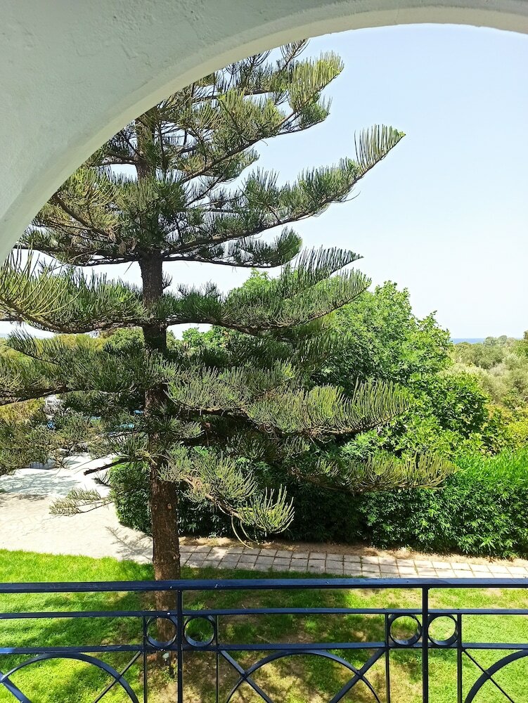 Фото Summer Dream Hotel