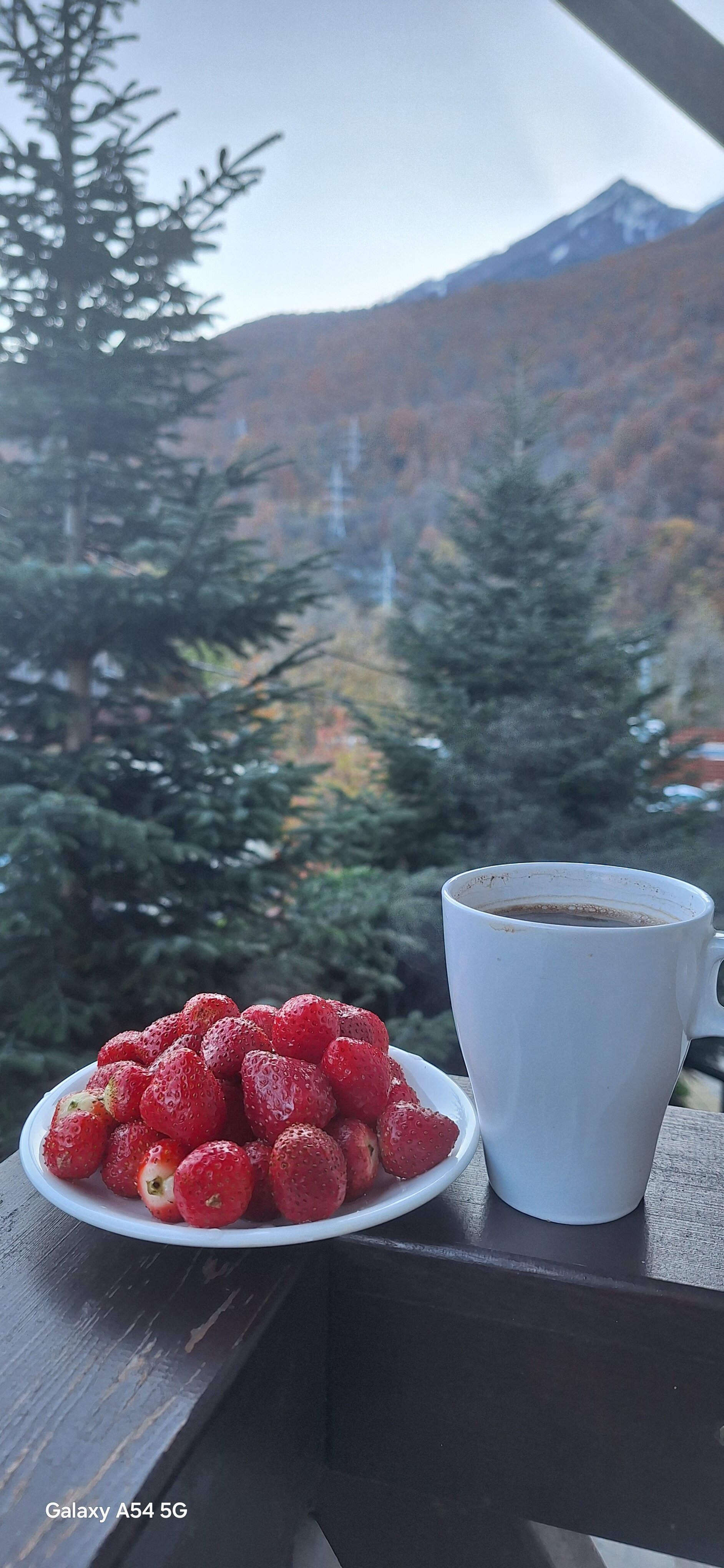 Фото Альпийский Двор