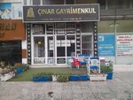 Cinar Yapi (Izmir, Buca District, Adnan Kahveci Avenue, 86B), real estate agency