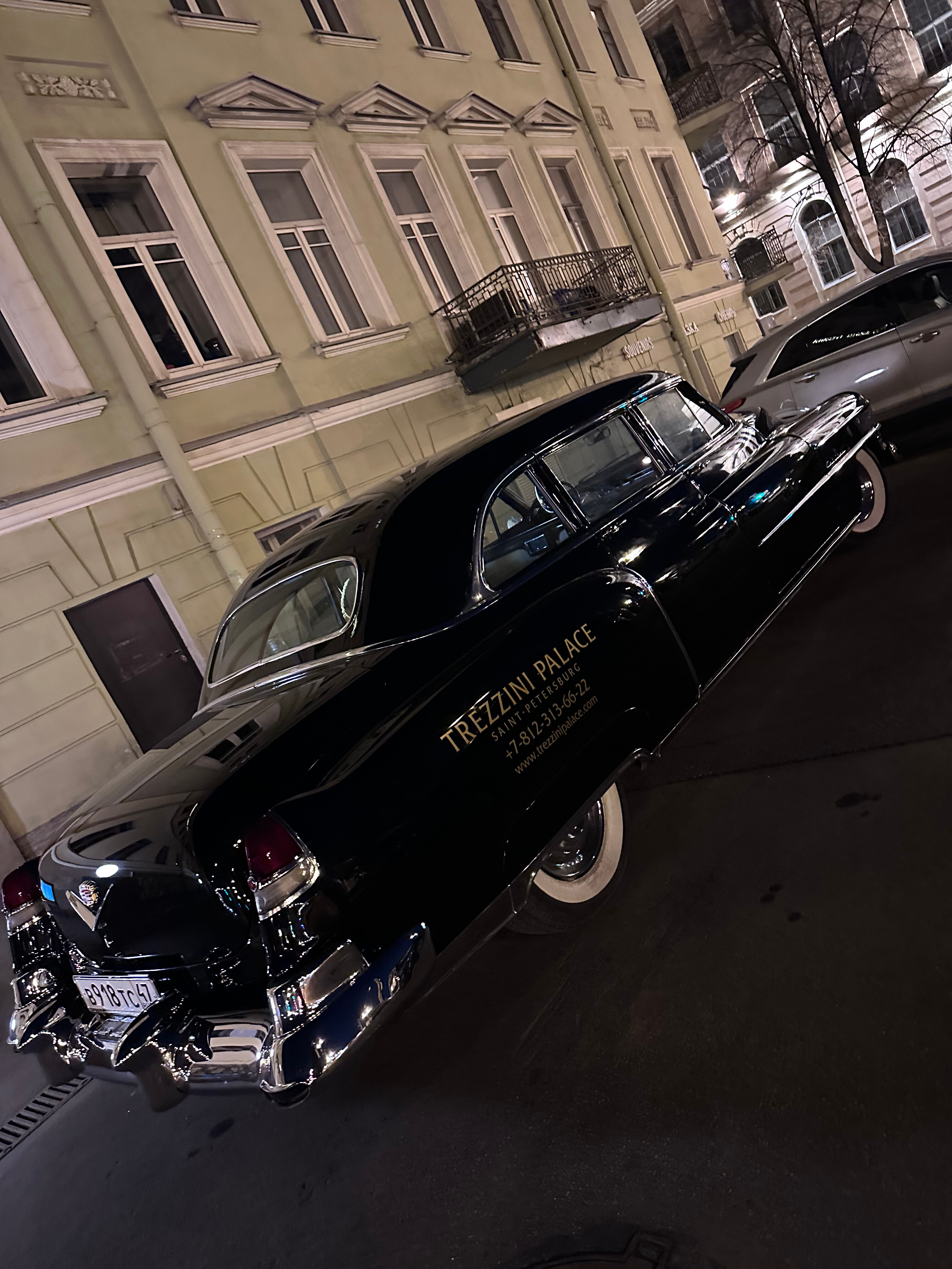 Фото Дворец Трезини