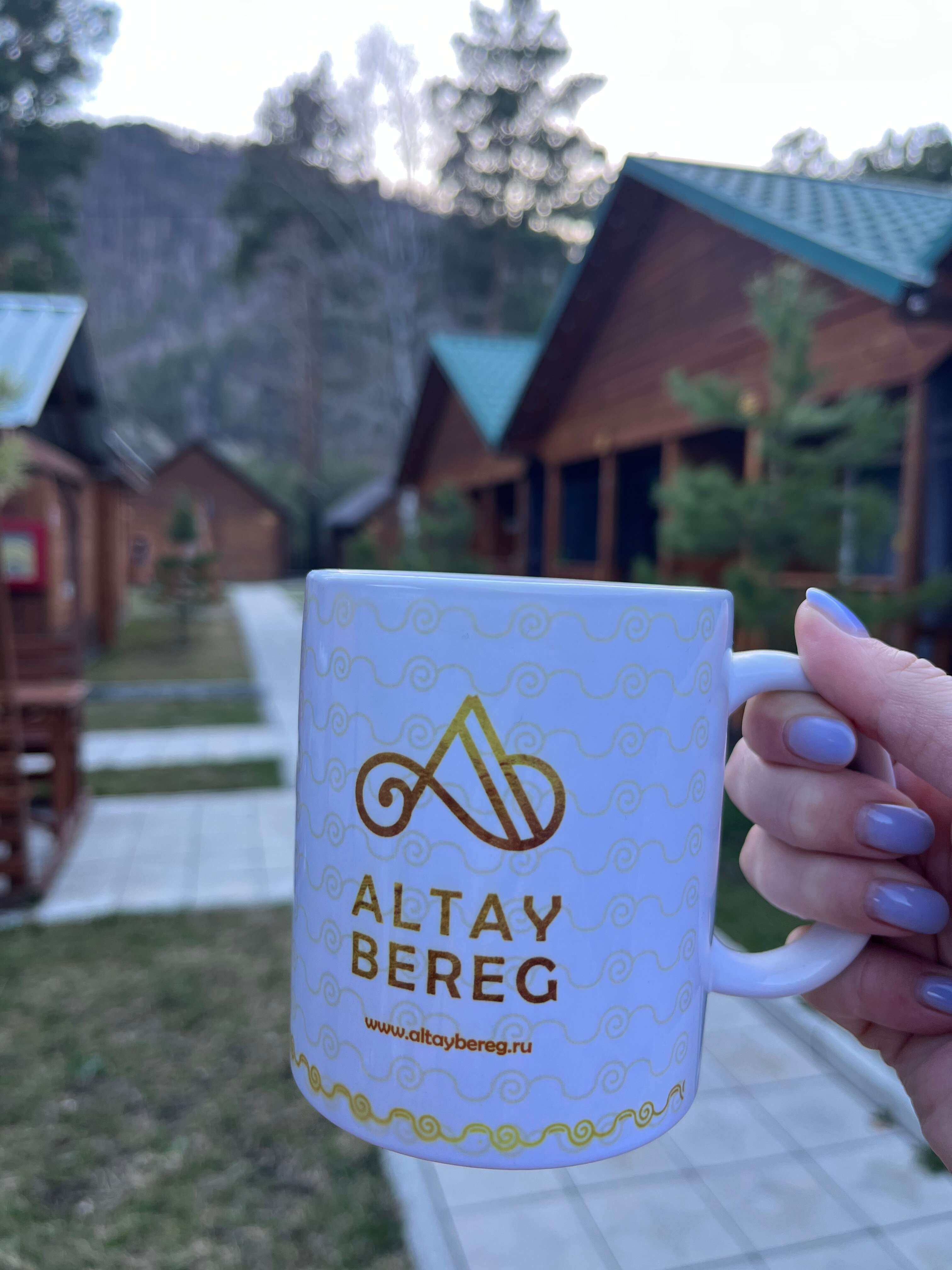 Фото Алтай берег