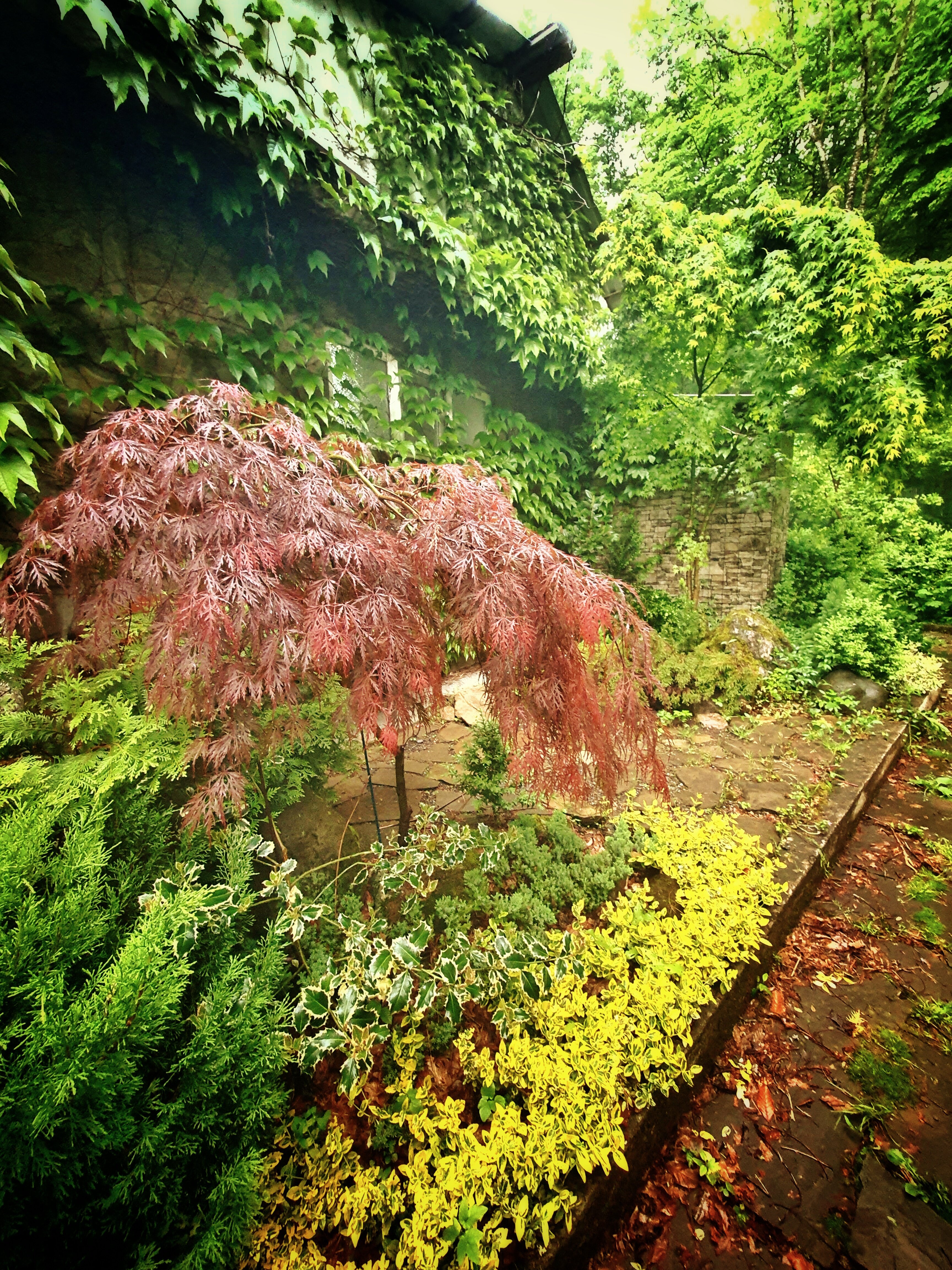 Фото Никель