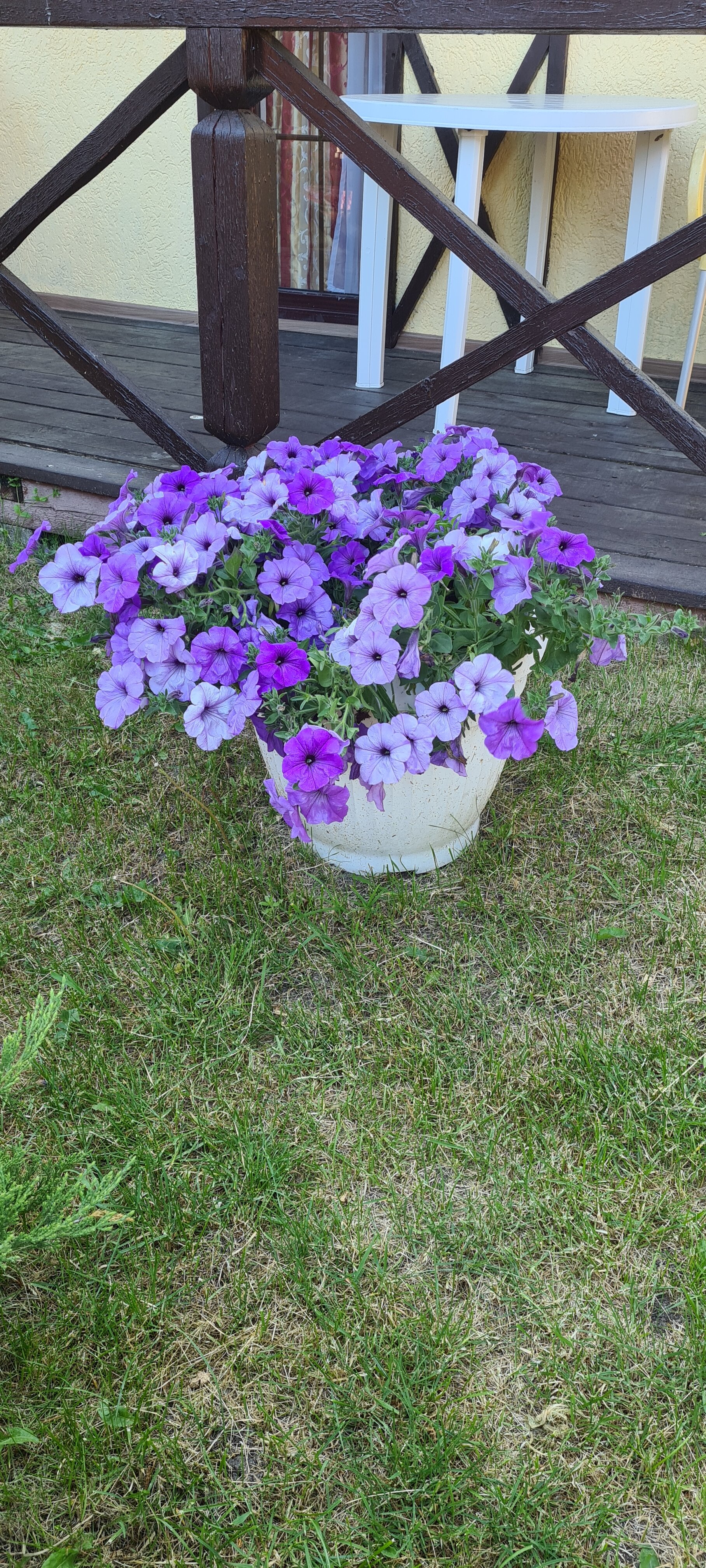 Фото Элиза Заркау