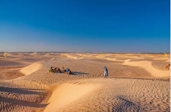 Travel agency Adventure Desert Tourism, Emirate of Sharjah, photo