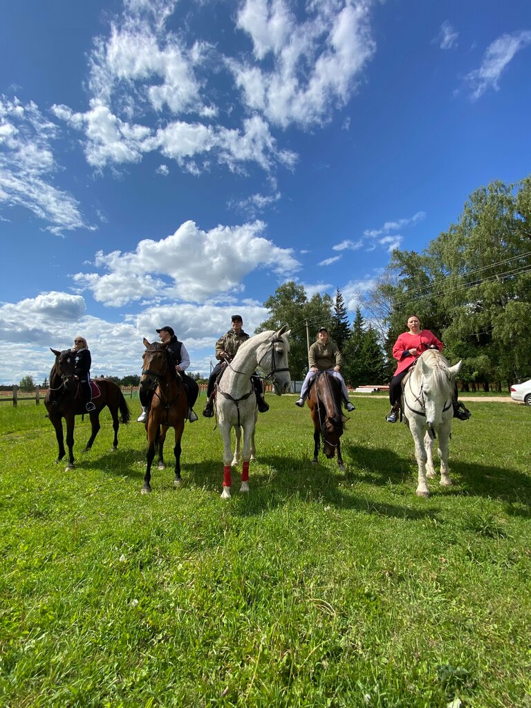 Horse riding Russian horse yard Halckedon, Moscow and Moscow Oblast, photo