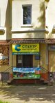 Spektr, magazin Ip Zhuravlev V. Yu (Gagarina Street, 3), herramientas eléctricas y de gasolina