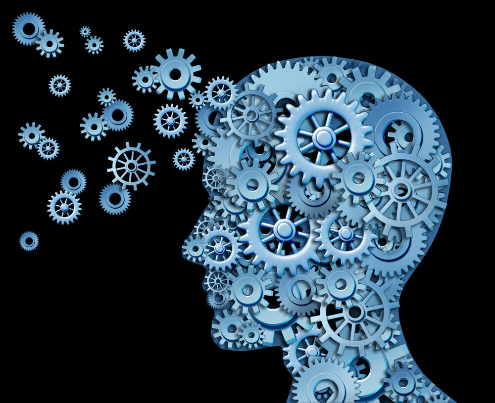 Courses and master classes Transformists, Dubai, photo