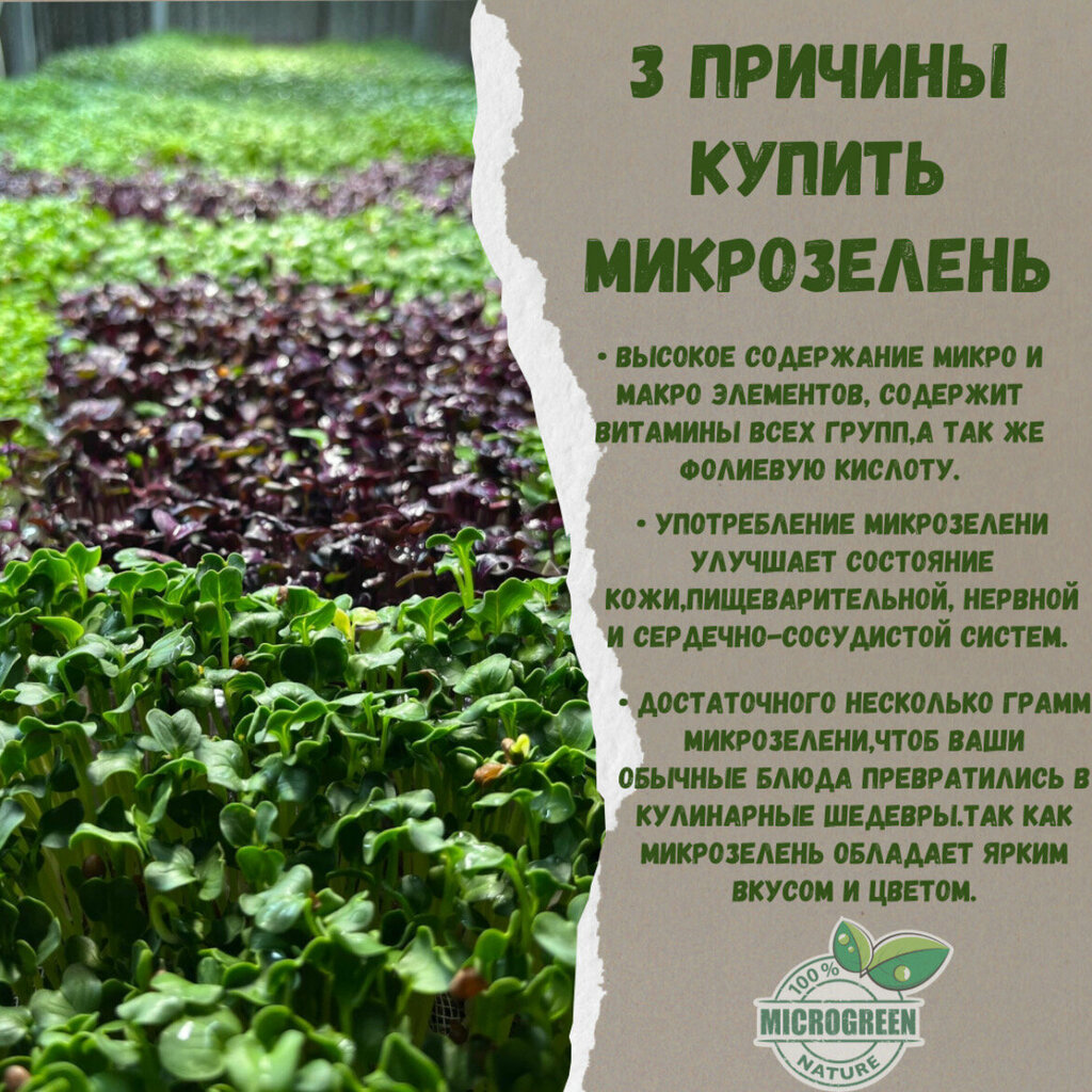 Диетические и диабетические продукты Microgreen, Ташкент, фото