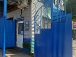Дары Нептуна (Bolshaya ulitsa, 104) ، الأسماك والمأكولات البحرية