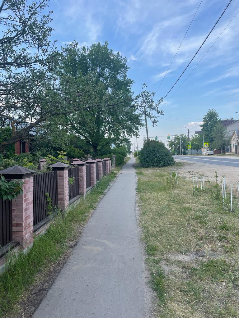 Фото Домик Лесника