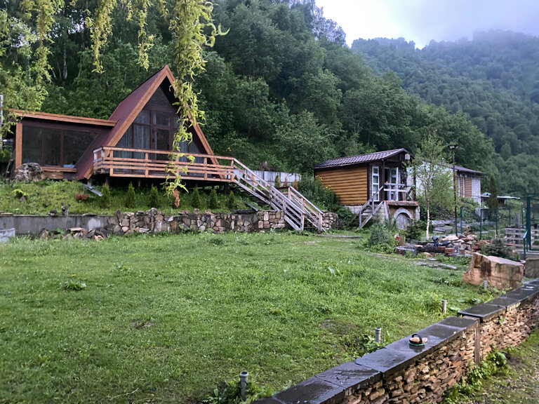 Фото Альпака