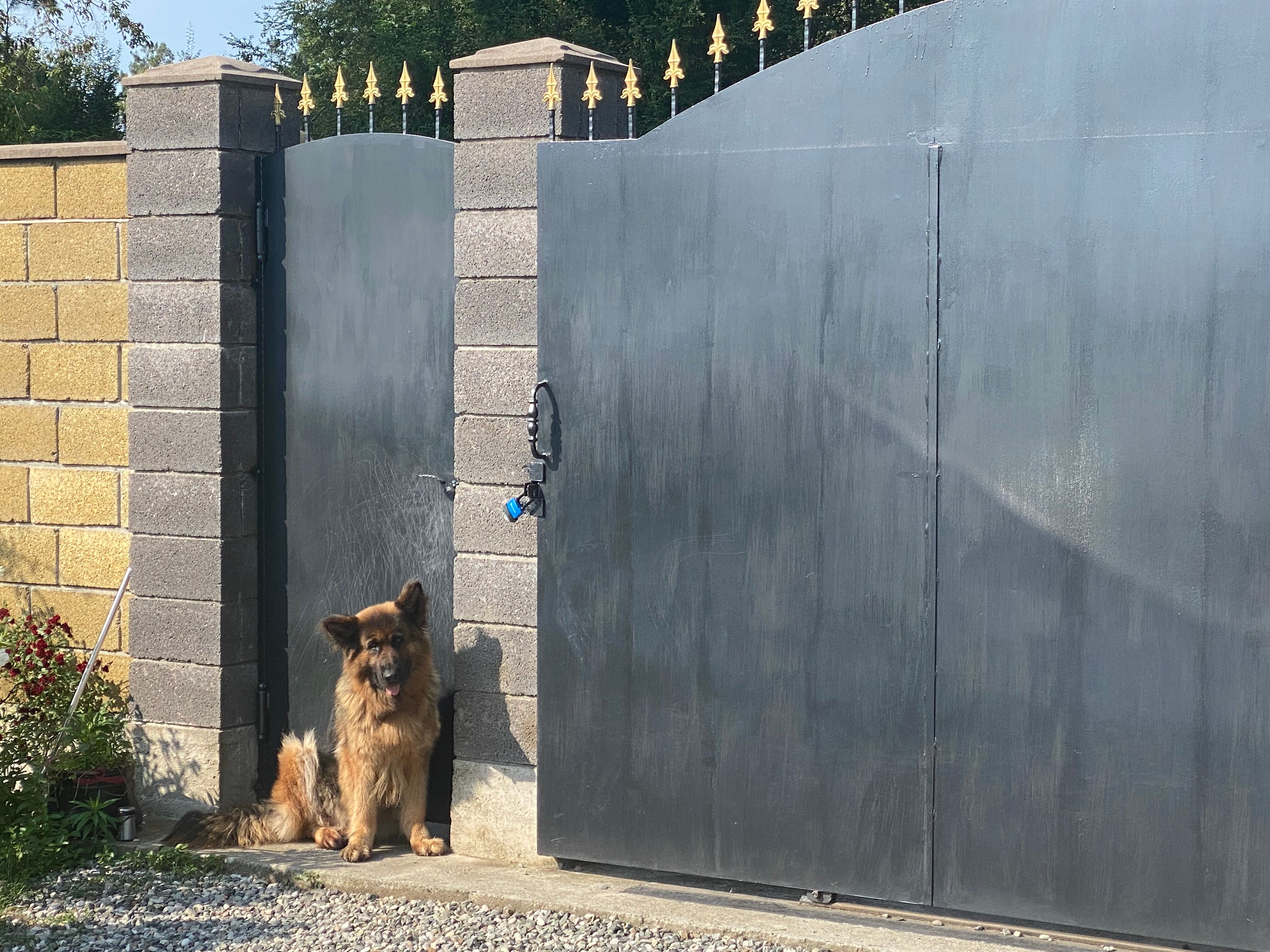 Фото Абазгия