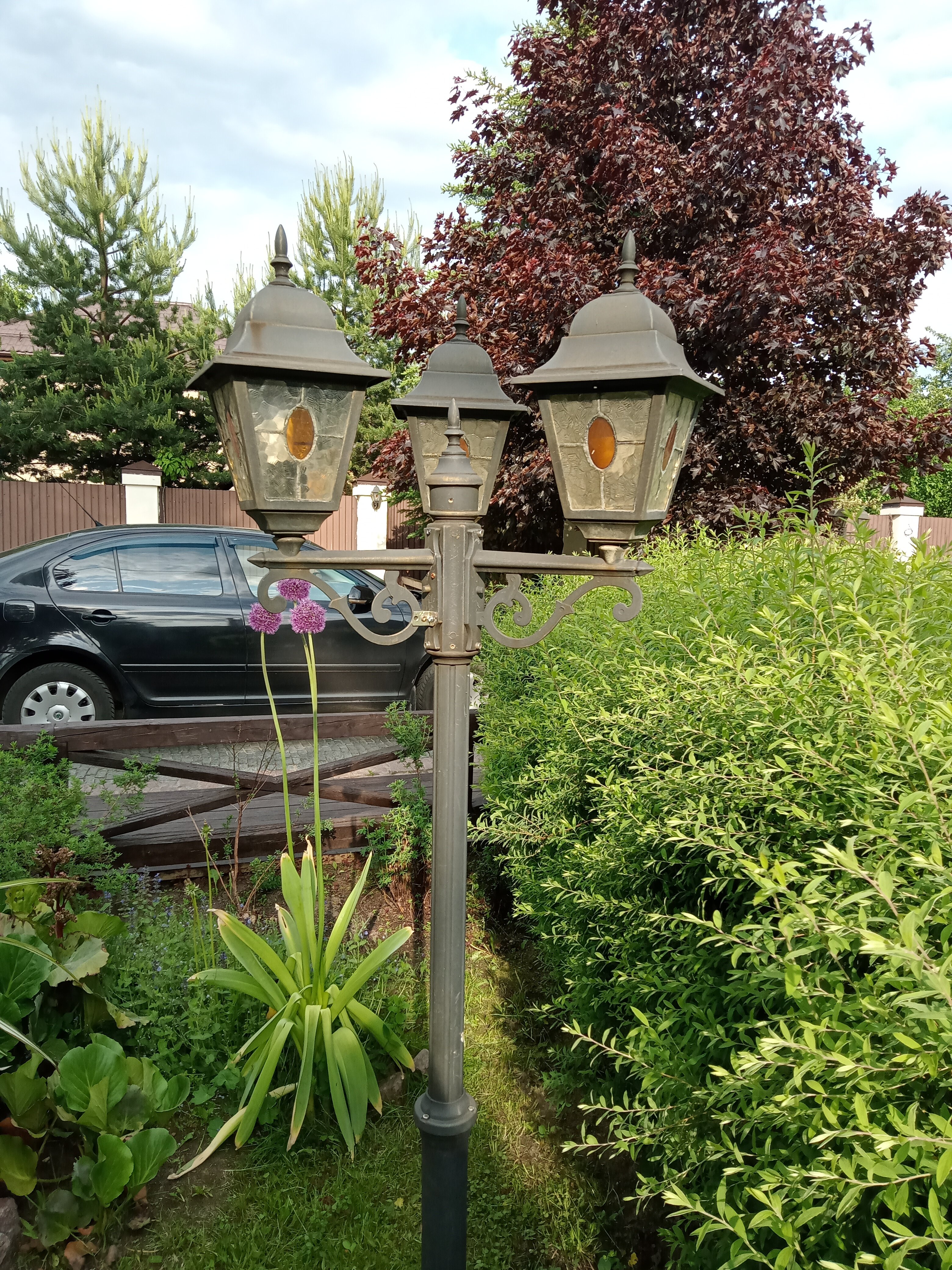 Фото Атланта Шереметьево