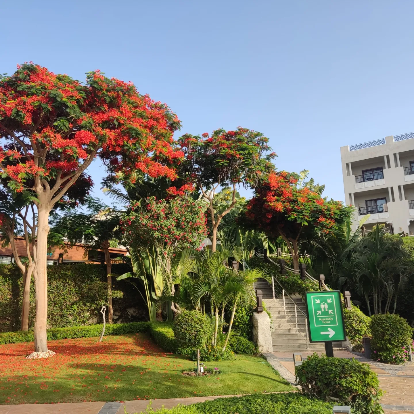 Фото Sunrise Arabian Beach Resort