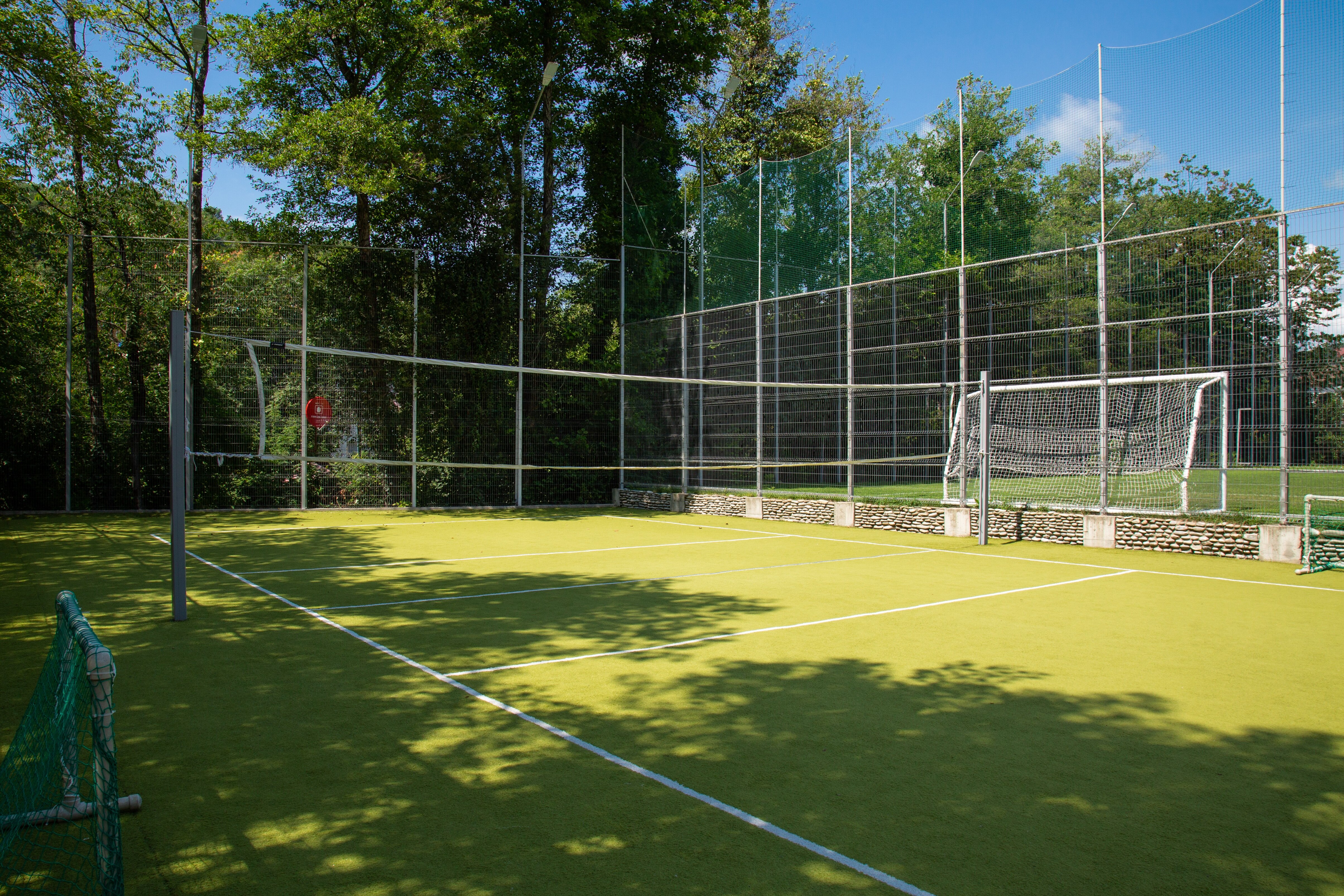 Фото Ателика Сокол