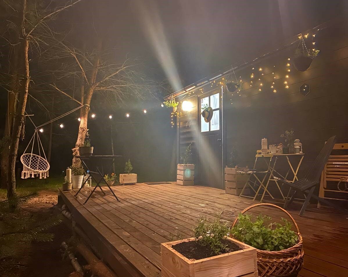 Фото TinyDacha можжевельник