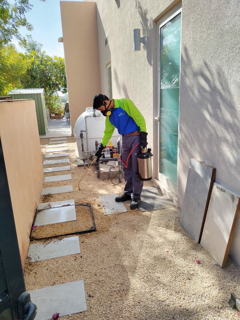 Building maintenance Trust Point Pest Control, Dubai, photo