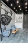 Barberdog (Vasilisy Kozhinoy Street, 13) ، صالون حيوانات أليفة