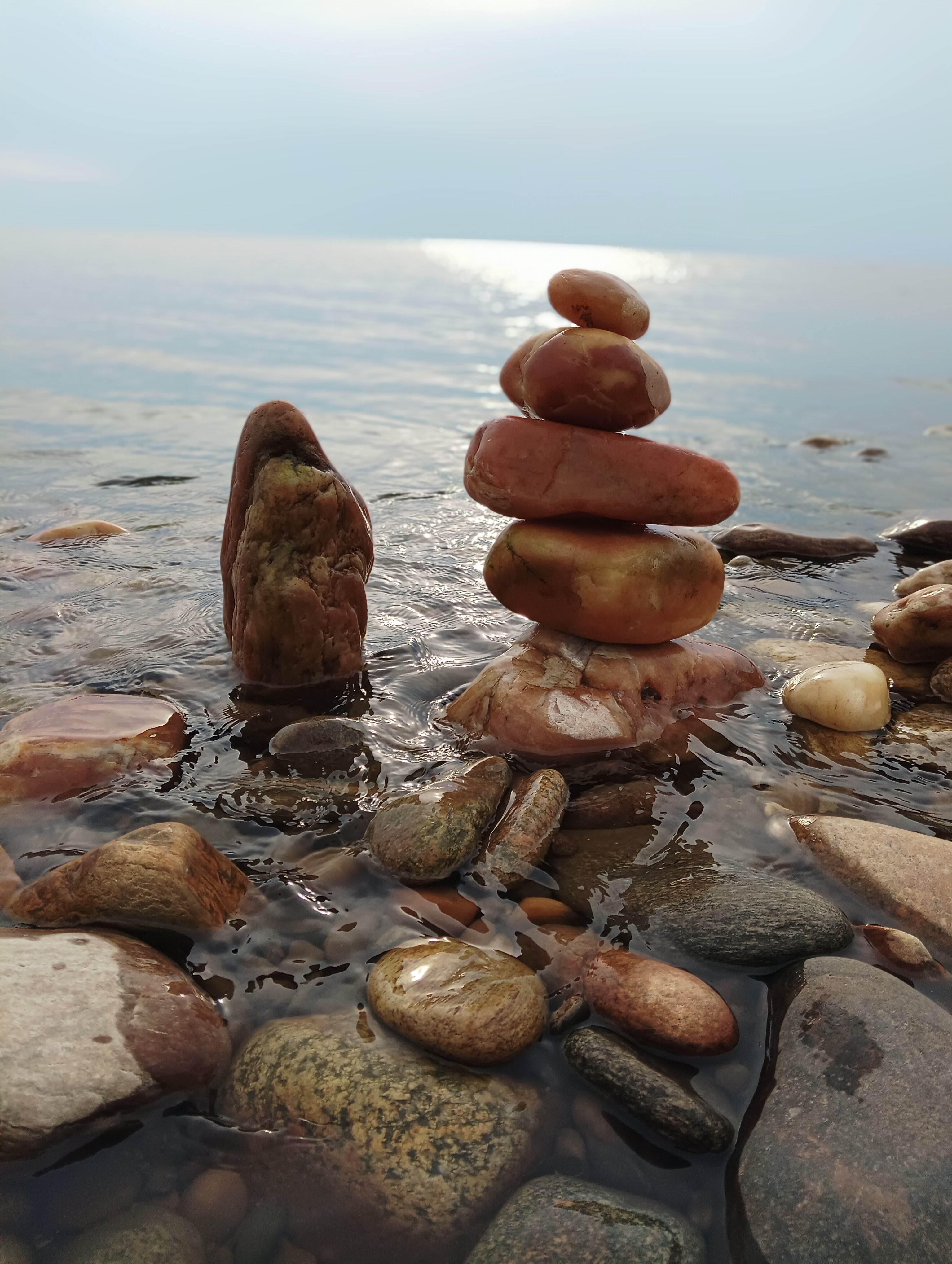 Фото Звездный